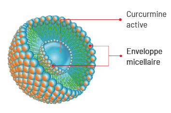 schema-oligoflam.png