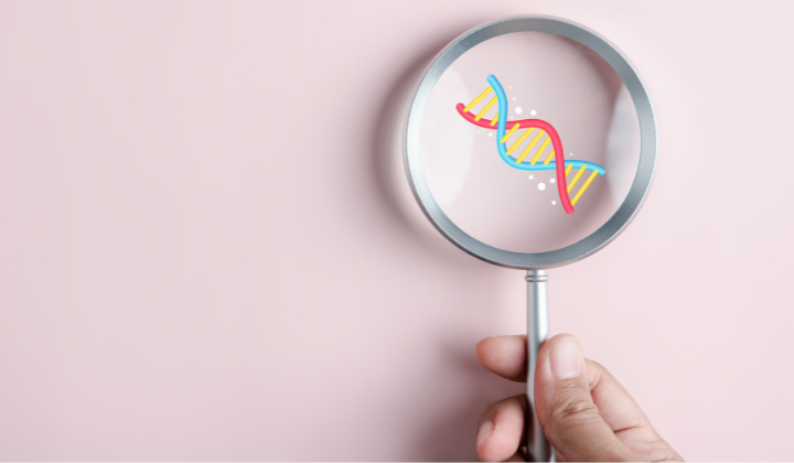 Génétique ou épigénétique : qui commande vraiment votre santé ?